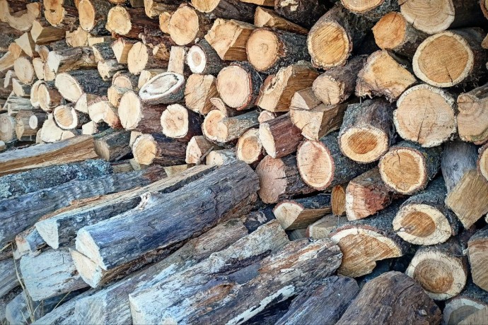 В Пензенской области приняли решение, которое облегчит зиму для семей участников СВО В Пензенской области приняли решение, которое облегчит зиму для семей участников СВО