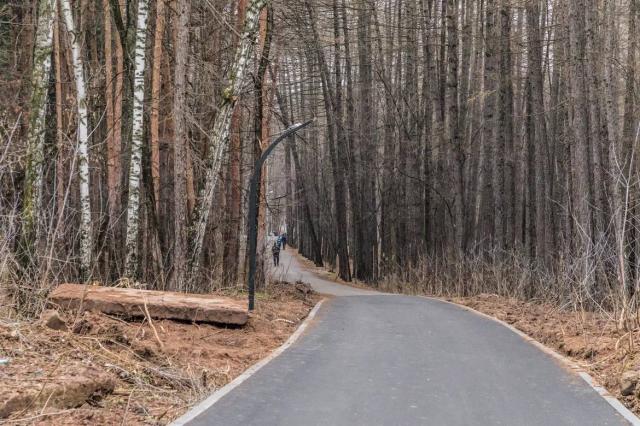 В Уфе завершается первый этап благоустройства Непейцевского дендропарка