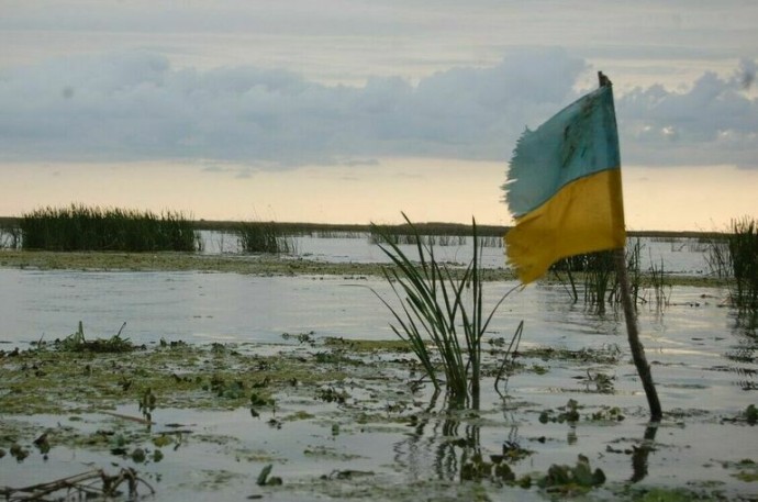 ТАСС: ВСУ из-за потерь отводят войска вглубь Сумской области