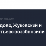 Домодедово, Жуковский и Шереметьево возобновили работу