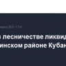 Пожар в лесничестве ликвидируют в Туапсинском районе Кубани