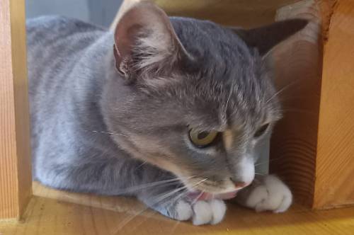 Тельцам придется пойти на жертвы, Стрельцы встретят знакомых в неожиданном месте Тельцам придется пойти на жертвы, Стрельцы встретят знакомых в неожиданном месте