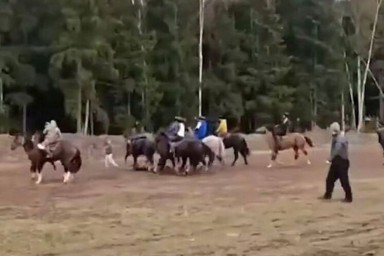 Прокурорский контроль: жители Подмосковья возмутила массовая игра мигрантов с тушей козла