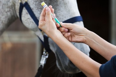 Россельхознадзор: 72,6% ветвакцин в РФ — отечественного производства