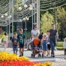 15,5 тысячи белгородцев получают надбавку к пенсии за своих детей