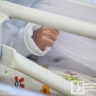 С начала года проактивно оформлены более 1400 СНИЛС новорожденным