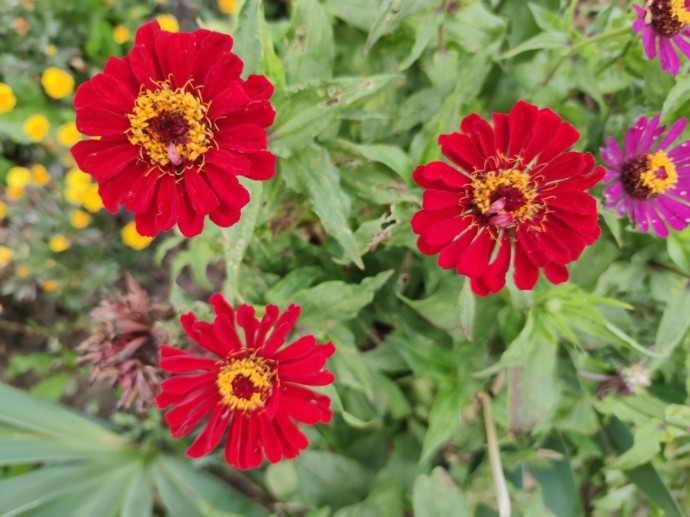 В Башкирии погода готовит чудесный сюрприз В Башкирии погода готовит чудесный сюрприз