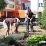 В школе № 45 Белгорода заработала новая смена трудового отряда