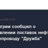 МИД Венгрии сообщил о возобновлении поставок нефти из РФ по нефтепроводу "Дружба"