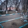 Благовещенцев просят не белить стволы деревьев
