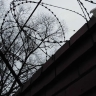 Муринского расчленителя отправили за решётку на 11 лет