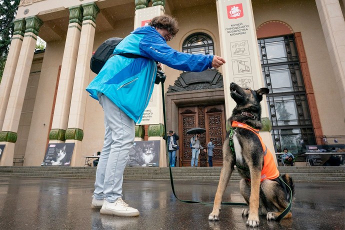 Около 1,5 тысячи волонтеров помогают в городских приютах для животных Около 1,5 тысячи волонтеров помогают в городских приютах для животных