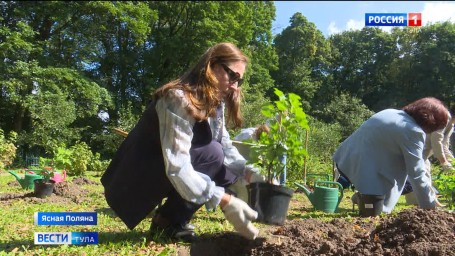 Россельхознадзор выявил в Тульской области продажу незарегистрированных семян и саженцев