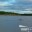 Мужчина пропал во время купания в Приамурье