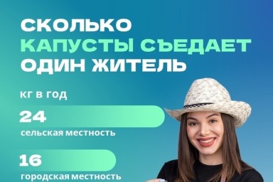 Жители Ивановской области съедают 18 кг капусты в год