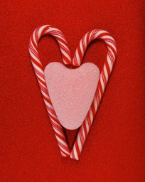 Эксперты рассказали, как сохранять комфорт во время менструации в праздничный сезон