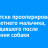 В Иркутске прооперировали шестилетнего мальчика, пострадавшего после нападения собаки