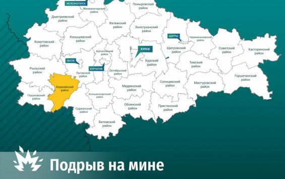В Курской области мужчина подорвался на мине «Колокольчик» во время покоса травы