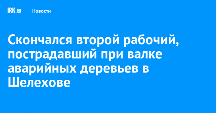 Скончался второй рабочий, пострадавший при валке аварийных деревьев в Шелехове