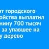 Комитет городского обустройства выплатил иркутянину 700 тысяч рублей за упавшее на машину дерево