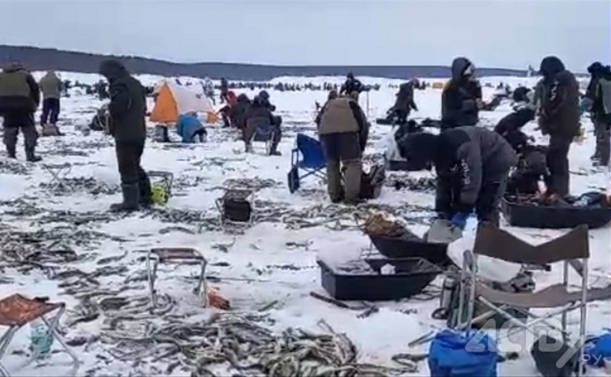 Лёд на юго-восточном побережье Сахалина превратился в наважье "кладбище"