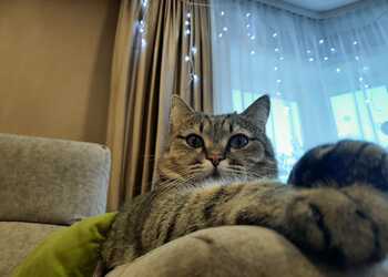 Козерогам понадобится помощь, у Близнецов появится шанс изменить все к лучшему