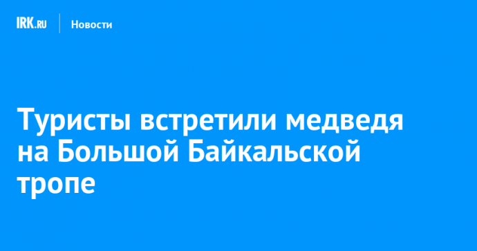 Туристы встретили медведя на Большой Байкальской тропе