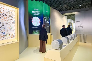 Открывается новая площадка «Биокластера» — павильон № 28 «Пчеловодство»