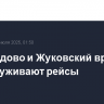 Домодедово и Жуковский временно не обслуживают рейсы