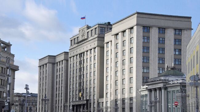 В Госдуме предложили собирать мнения россиян о значимости памятников