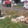 Вчера циклон накрыл Курск: упавшие деревья, повреждённые крыши и перебои с электроснабжением