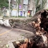 Жители Донецка остались без света из-за урагана