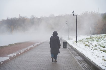 В Госдуме высказались о будущем пенсионного возраста в России