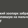Иркутский зоопарк забрал к себе напавшую на мальчика пантеру