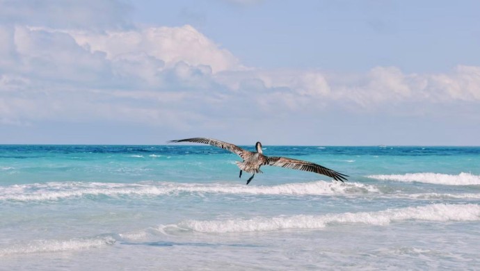 Российские туристы не смогли попасть на кубинский курорт Ольгин из-за урагана Российские туристы не смогли попасть на кубинский курорт Ольгин из-за урагана