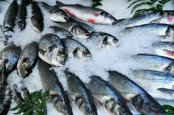 Большинство россиян хотят есть рыбу, но не покупают из-за дороговизны Большинство россиян хотят есть рыбу, но не покупают из-за дороговизны