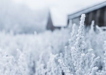 Циклон принесет в Приамурье снег Циклон принесет в Приамурье снег