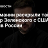 В Германии раскрыли тайный сговор Зеленского с США против России