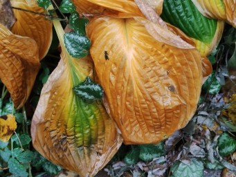 В Башкирии появилась экстренная информация о погоде