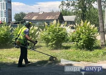 Сезонный покос травы стартует в Благовещенске на следующей неделе
