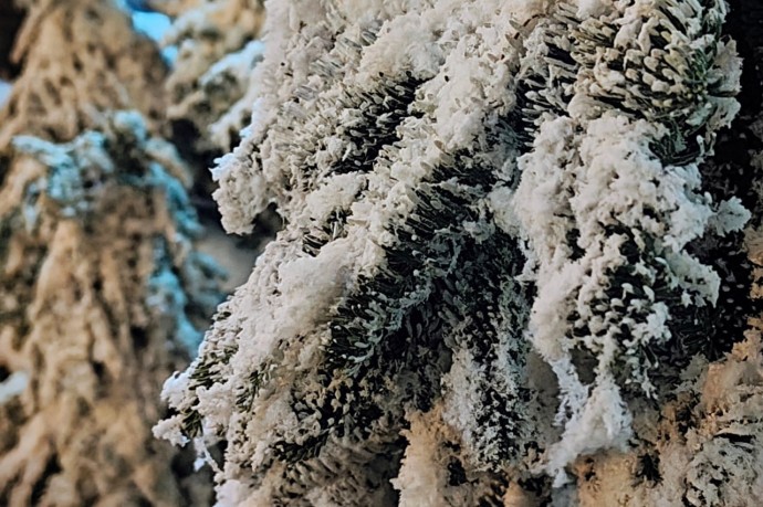 Стало известно, какая погода ожидает пензенцев 27 декабря