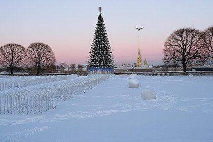 Беглов ответил недовольным подготовкой к Новому году в Петербурге