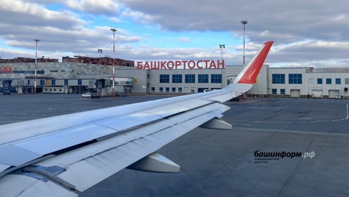 Суд признал ограничения «Победы» по ручной клади незаконными