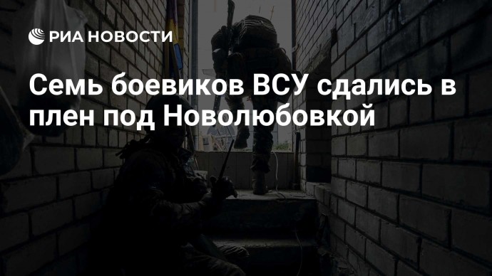 Семь боевиков ВСУ сдались в плен под Новолюбовкой