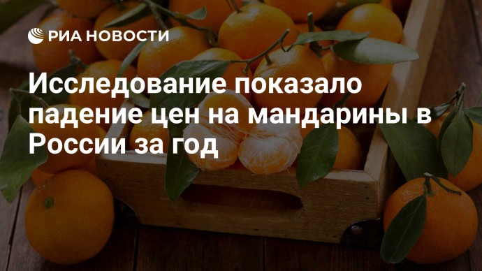 Исследование показало падение цен на мандарины в России за год Исследование показало падение цен на мандарины в России за год
