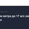 Усиление ветра до 17 м/с ожидается в Москве