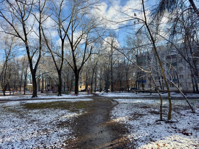 Какая погода ожидается в Пензенской области 11 декабря? Какая погода ожидается в Пензенской области 11 декабря?