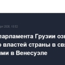 Спикер парламента Грузии озвучил позицию властей страны в связи с событиями в Венесуэле