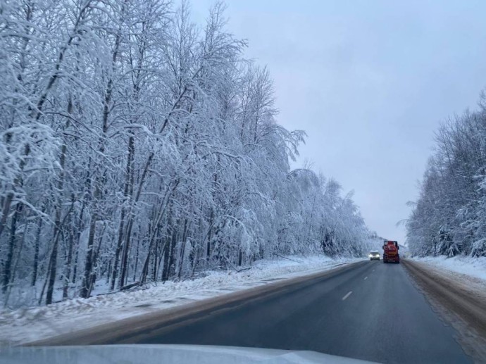 С 17 декабря в Пермском крае начнут патрулировать дороги и леса С 17 декабря в Пермском крае начнут патрулировать дороги и леса