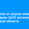 За неделю от укусов клещей пострадали 1645 жителей Иркутской области
